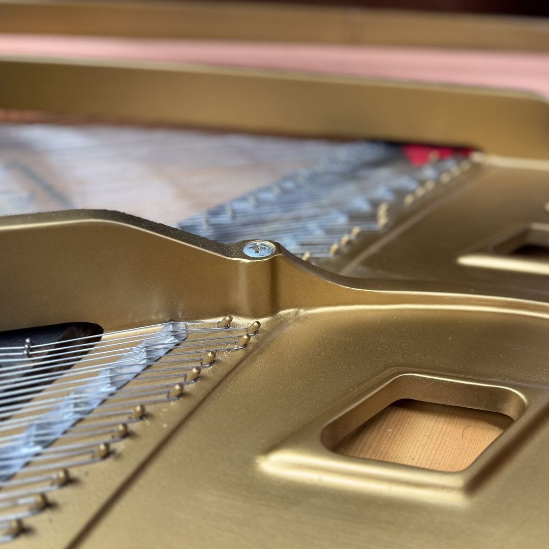 Close detail of the plate, bridge pins and treble stringing